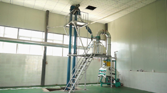 四川德昌核桃,菜籽,茶籽綜合加工生產線 四川德昌核桃,菜籽,茶籽綜合加工生產線